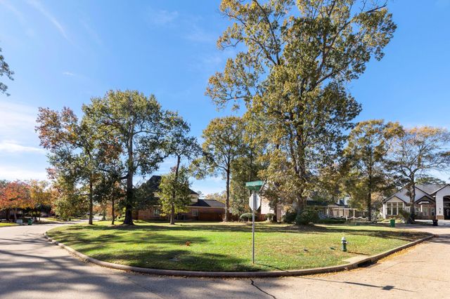 227 Wedgewood Drive, Montgomery, TX 77356