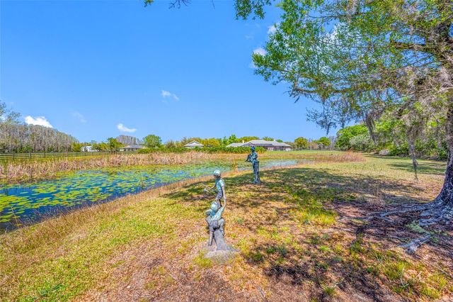 11939 PASCO TRAILS BOULEVARD, Spring Hill, FL 34610