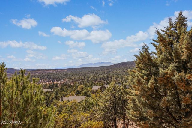 4456 N PRESERVE Drive, Pine, AZ 85544