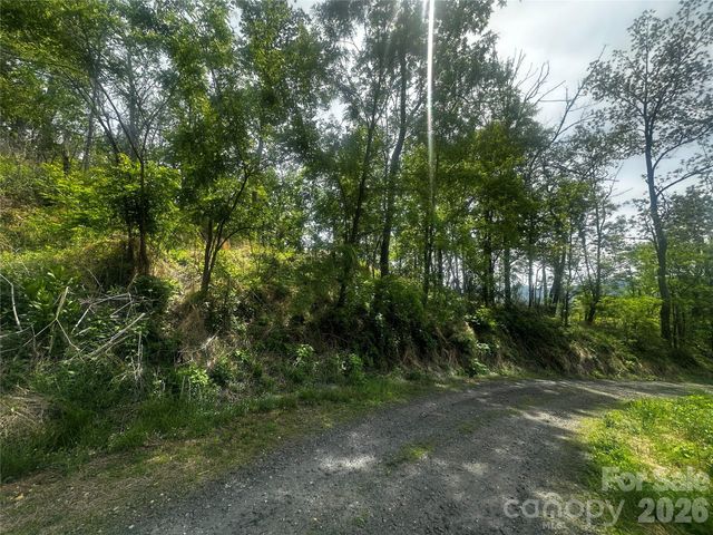 00 John Sparks Road, Bakersville, NC 28705