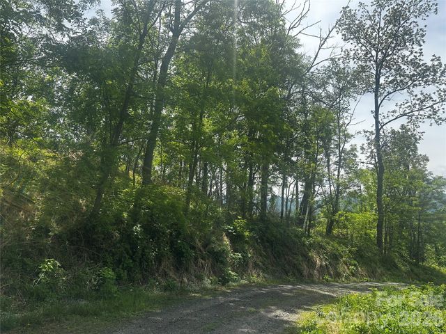 00 John Sparks Road, Bakersville, NC 28705