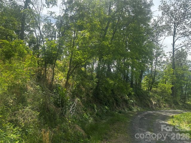 00 John Sparks Road, Bakersville, NC 28705