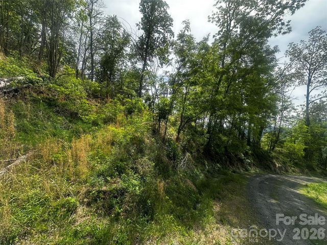 00 John Sparks Road, Bakersville, NC 28705