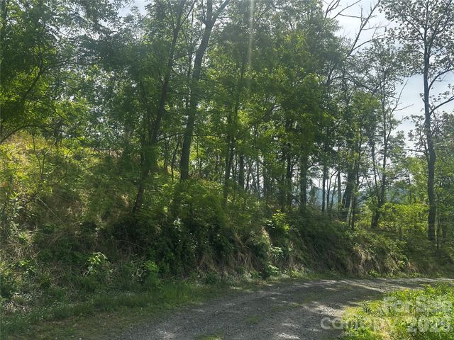 00 John Sparks Road, Bakersville, NC 28705