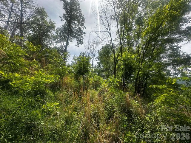 00 John Sparks Road, Bakersville, NC 28705
