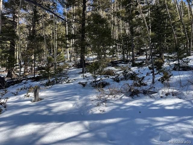 Lot 5339 Howard Road, Fort Garland, CO 81133