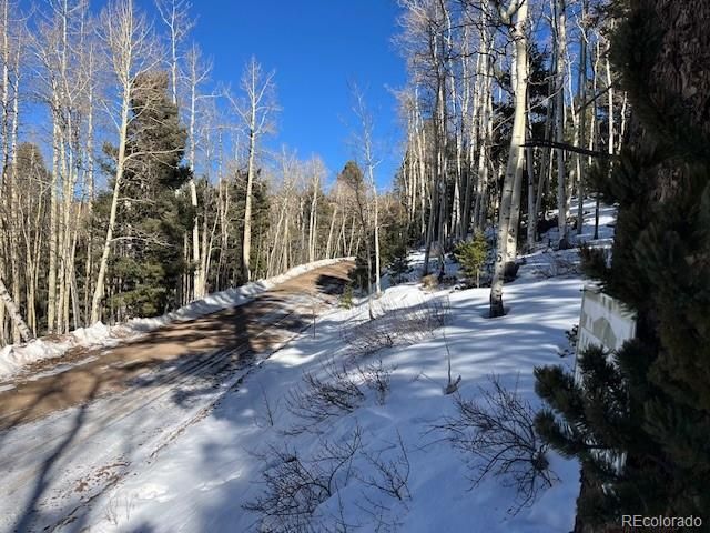 Lot 5339 Howard Road, Fort Garland, CO 81133
