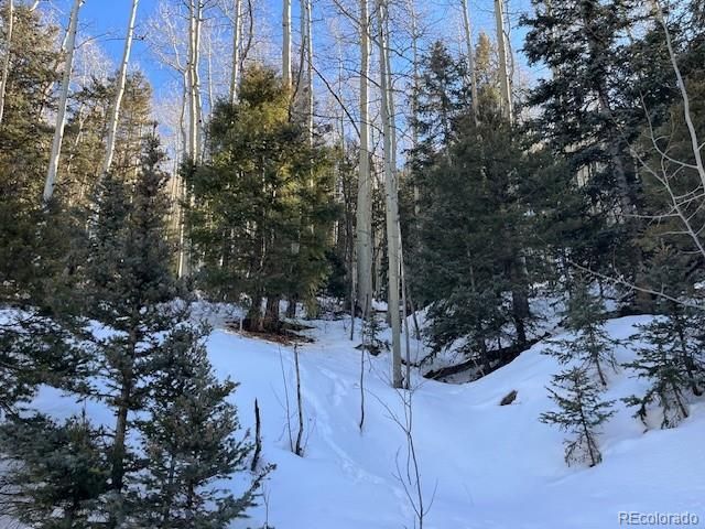 Lot 5339 Howard Road, Fort Garland, CO 81133