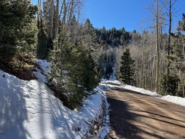 Lot 5339 Howard Road, Fort Garland, CO 81133