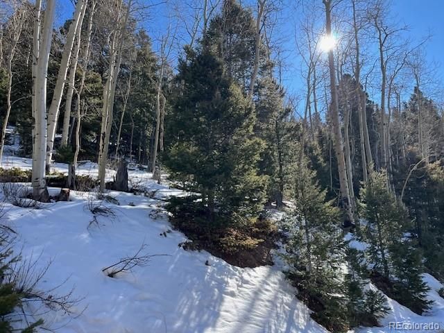 Lot 5339 Howard Road, Fort Garland, CO 81133