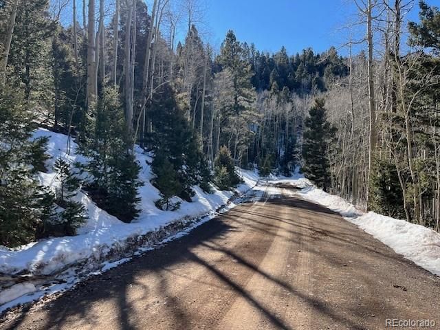 Lot 5339 Howard Road, Fort Garland, CO 81133