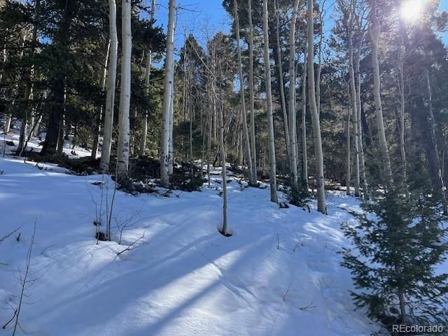 Lot 5339 Howard Road, Fort Garland, CO 81133