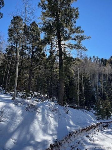 Lot 5339 Howard Road, Fort Garland, CO 81133