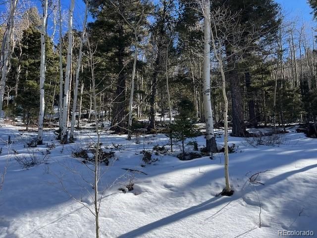 Lot 5339 Howard Road, Fort Garland, CO 81133