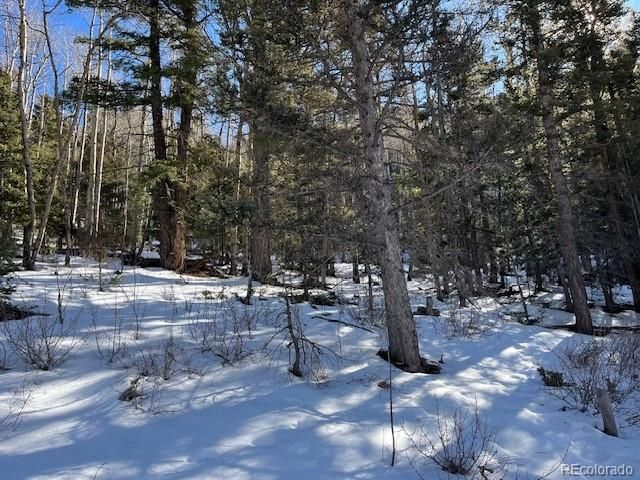 Lot 5339 Howard Road, Fort Garland, CO 81133