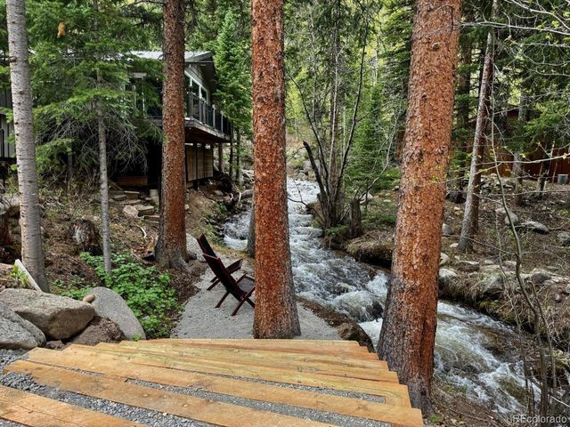 14 Moss, Dumont, CO 80436