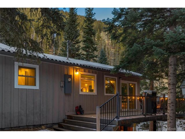 14 Moss, Dumont, CO 80436