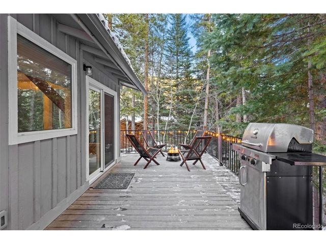 14 Moss, Dumont, CO 80436