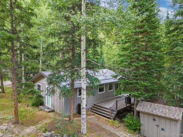 14 Moss, Dumont, CO 80436