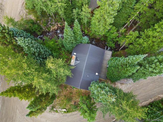14 Moss, Dumont, CO 80436