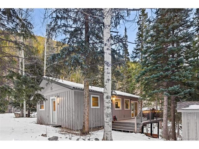 14 Moss, Dumont, CO 80436