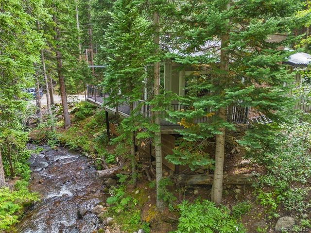 14 Moss, Dumont, CO 80436