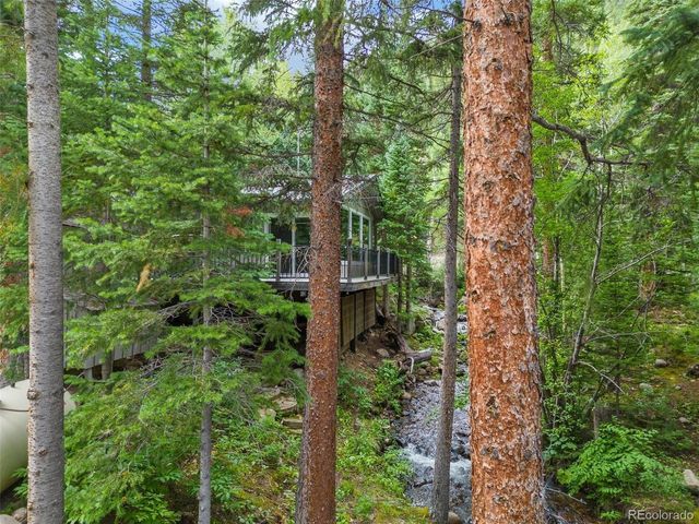 14 Moss, Dumont, CO 80436