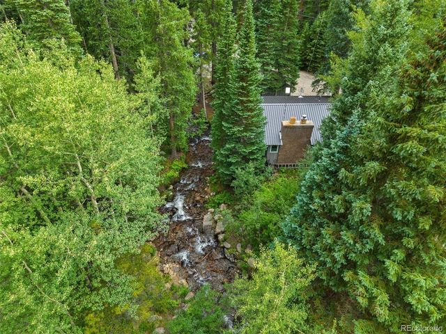 14 Moss, Dumont, CO 80436