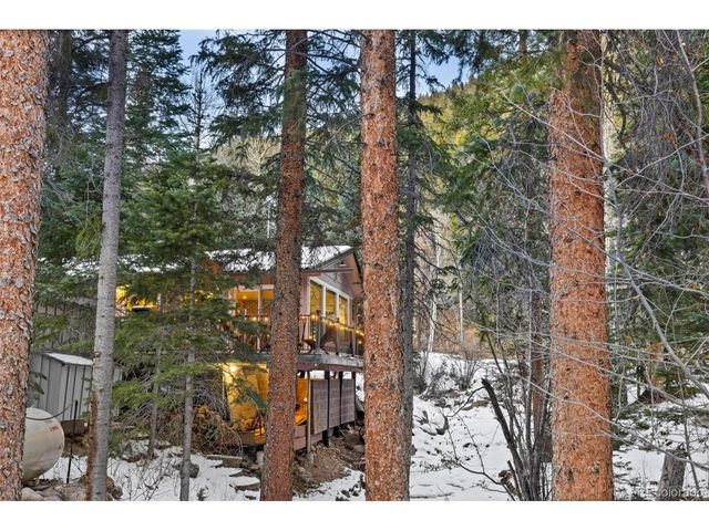14 Moss, Dumont, CO 80436