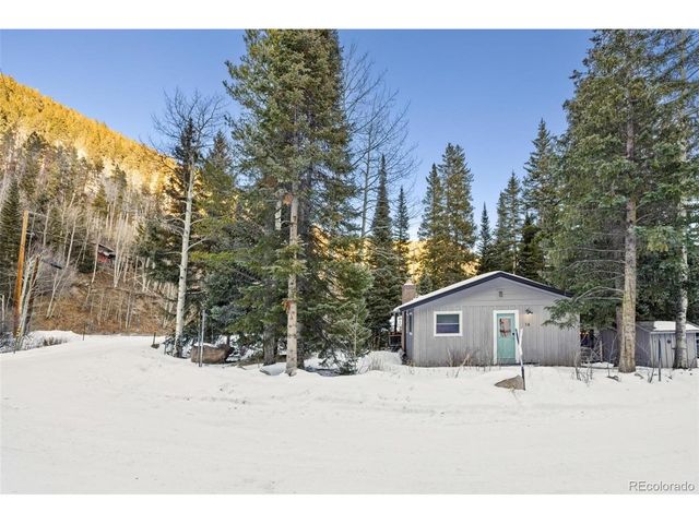 14 Moss, Dumont, CO 80436