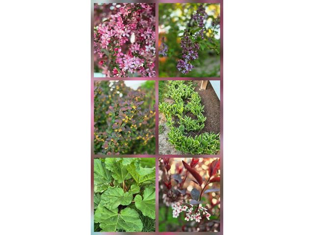 803 Centennial Parkway, Waunakee, WI 53597