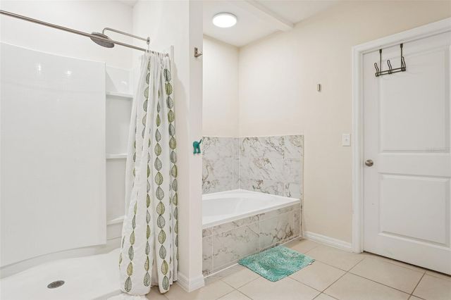 32871 BROOKS HAWK LANE, Wesley Chapel, FL 33543