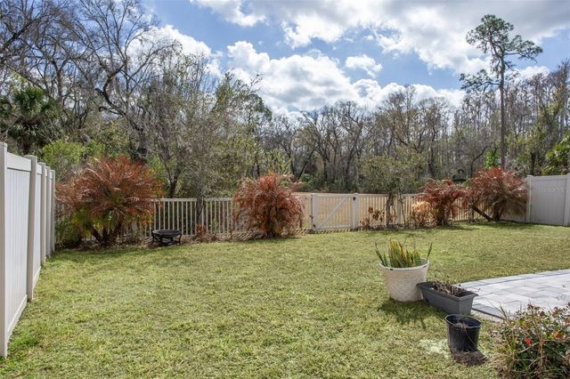 32871 BROOKS HAWK LANE, Wesley Chapel, FL 33543