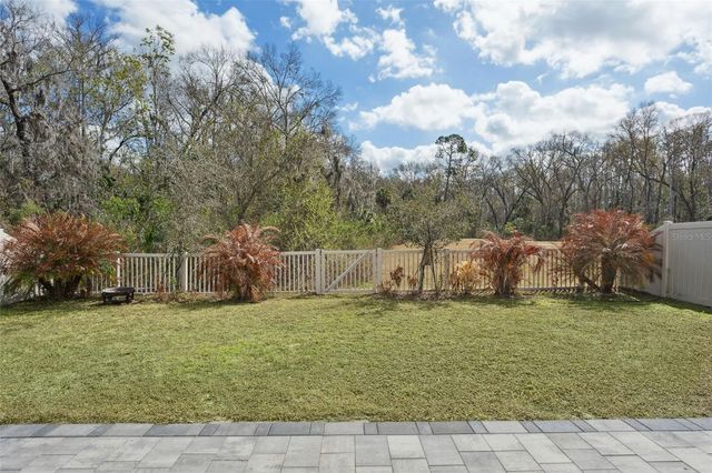 32871 BROOKS HAWK LANE, Wesley Chapel, FL 33543