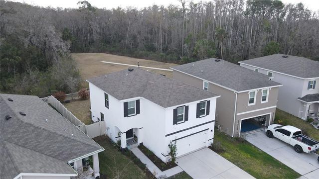 32871 BROOKS HAWK LANE, Wesley Chapel, FL 33543