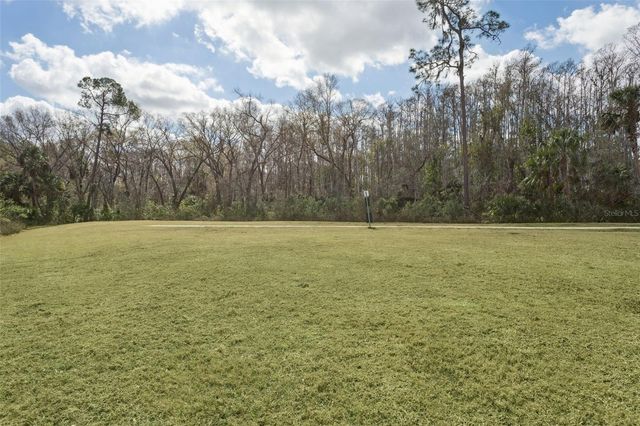 32871 BROOKS HAWK LANE, Wesley Chapel, FL 33543