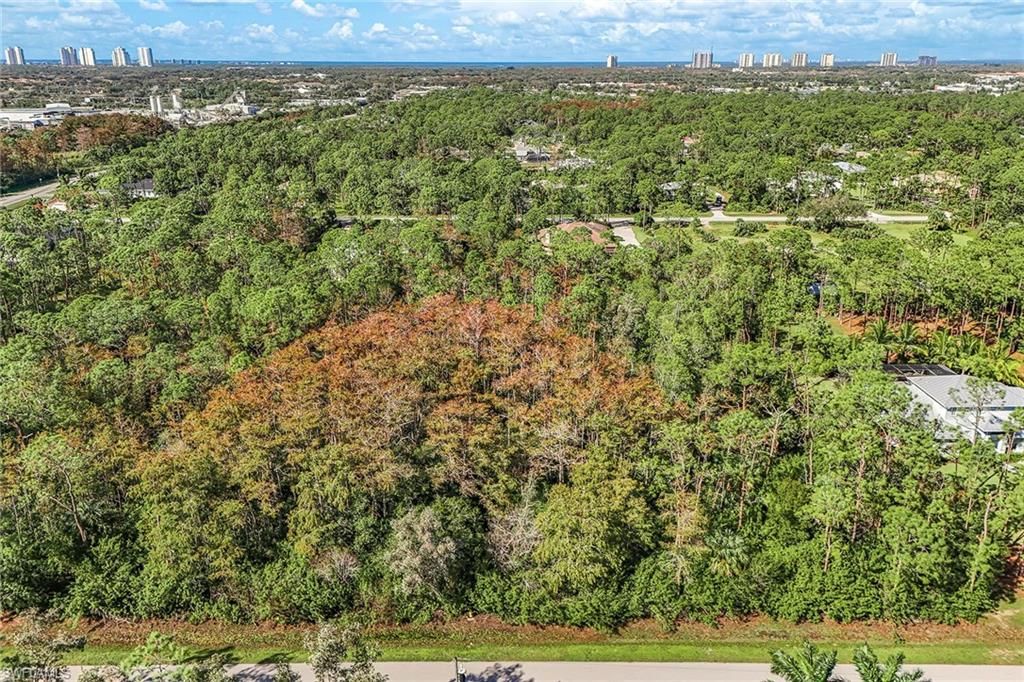 24742 Claire ST, BONITA SPRINGS, FL 34135 — photo 3