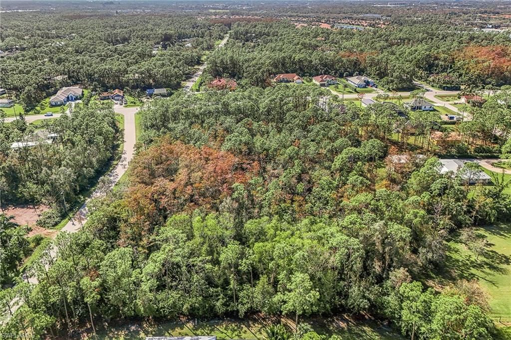 24742 Claire ST, BONITA SPRINGS, FL 34135 — photo 4