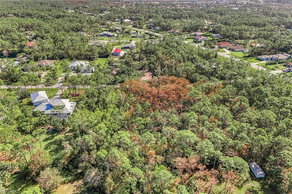 24742 Claire ST, BONITA SPRINGS, FL 34135 — photo 5