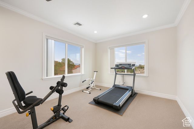 230 BOULDER WAY, Leeds, UT 84746