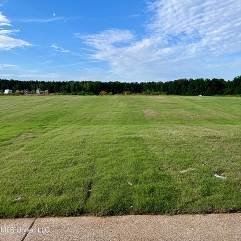 7650 Thomas Riley Street, Hernando, MS 38632