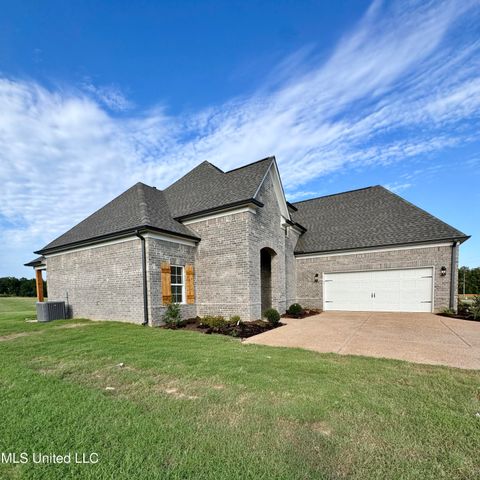 7650 Thomas Riley Street, Hernando, MS 38632