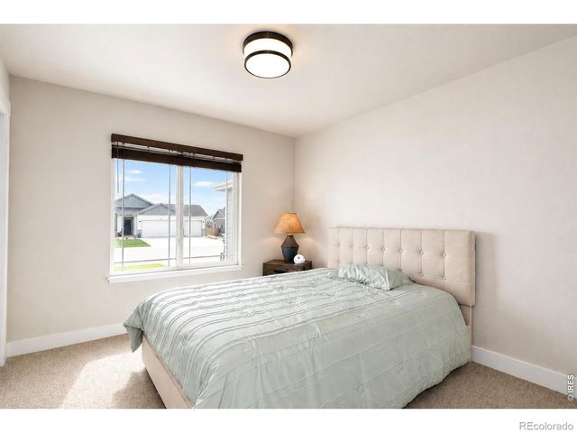 7157 Rye Grass Drive, Wellington, CO 80549