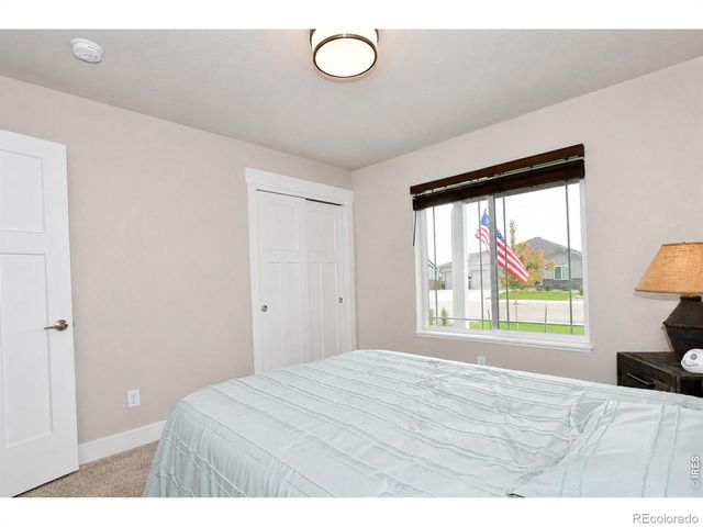 7157 Rye Grass Drive, Wellington, CO 80549