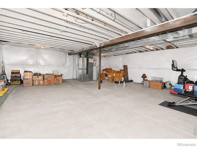 7157 Rye Grass Drive, Wellington, CO 80549