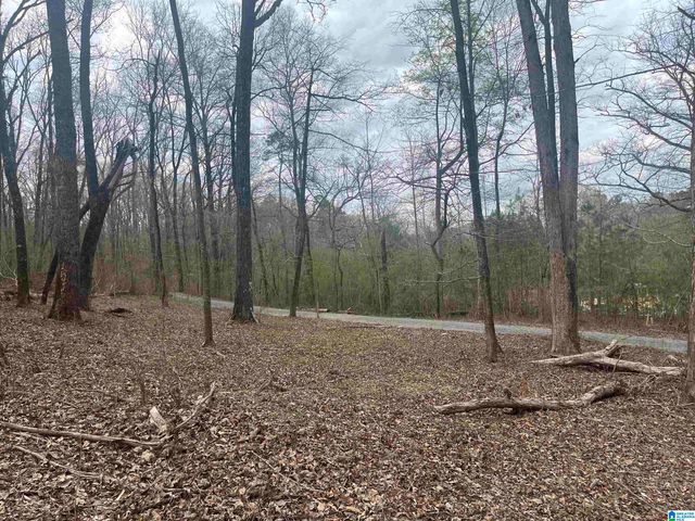 6446 TRUSSVILLE CLAY ROAD, Trussville, AL 35173