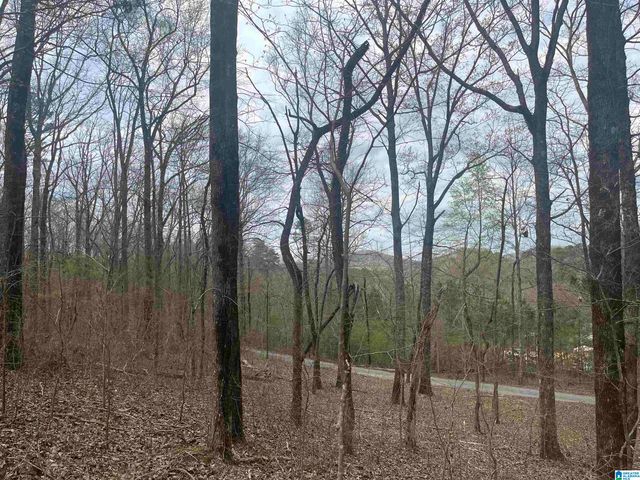 6446 TRUSSVILLE CLAY ROAD, Trussville, AL 35173
