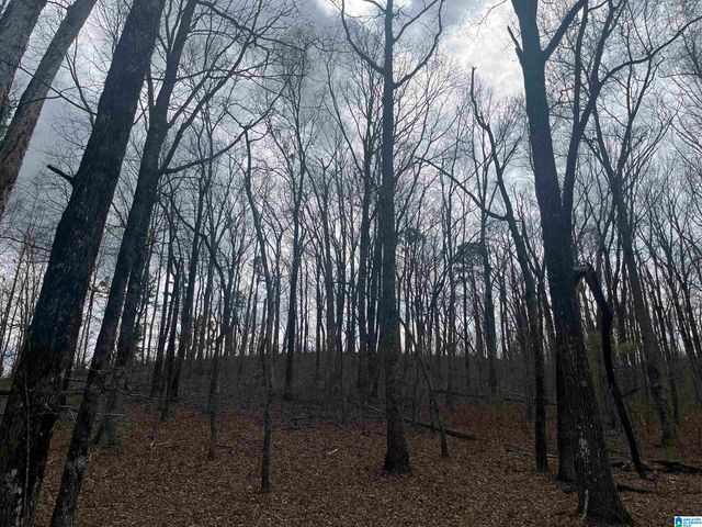 6446 TRUSSVILLE CLAY ROAD, Trussville, AL 35173