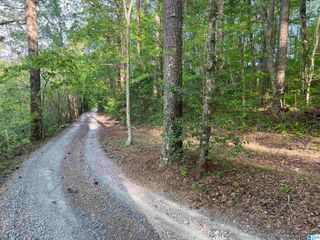 6446 TRUSSVILLE CLAY ROAD, Trussville, AL 35173