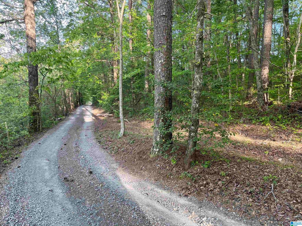 6446 TRUSSVILLE CLAY ROAD, Trussville, AL 35173